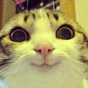 Meet your Posher, Jess